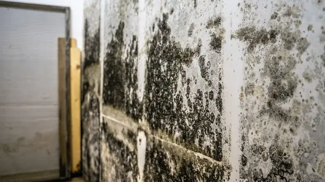 Mold staining on a basement wall near a door frame