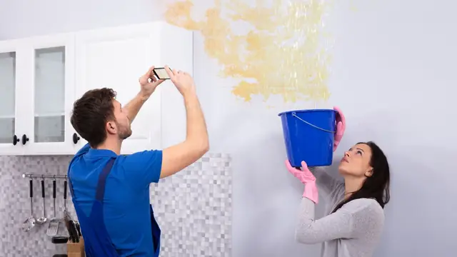 Two people photographing a water stain on a wall while one holds a bucket