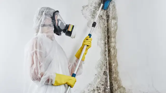 Worker in a respirator and protective suit treating a moldy wall